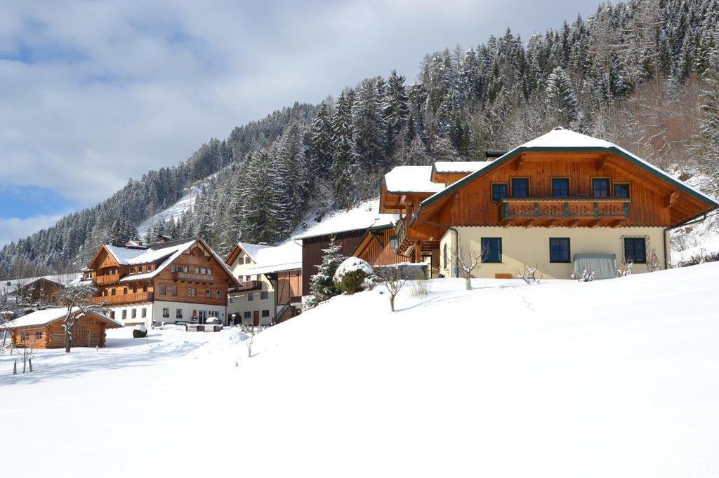 Holdhaeusl Apartment Schladming Cameră foto