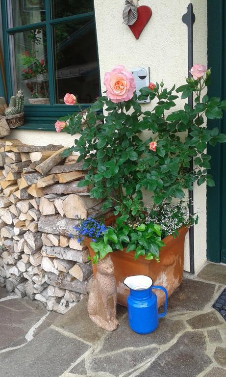 Holdhaeusl Apartment Schladming Cameră foto
