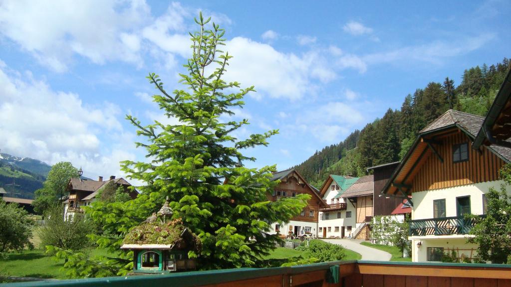Holdhaeusl Apartment Schladming Cameră foto
