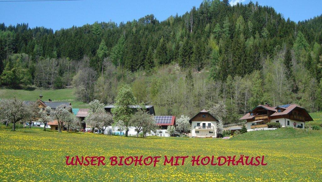 Holdhaeusl Apartment Schladming Cameră foto