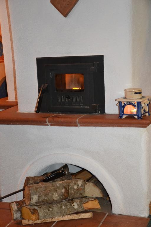Holdhaeusl Apartment Schladming Cameră foto
