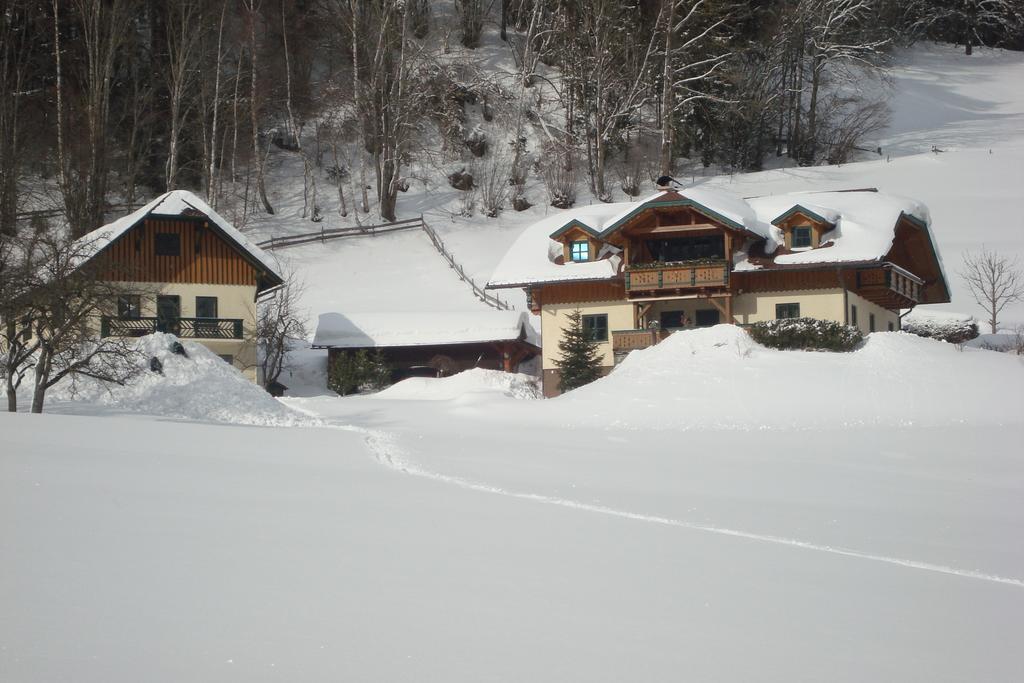 Holdhaeusl Apartment Schladming Cameră foto